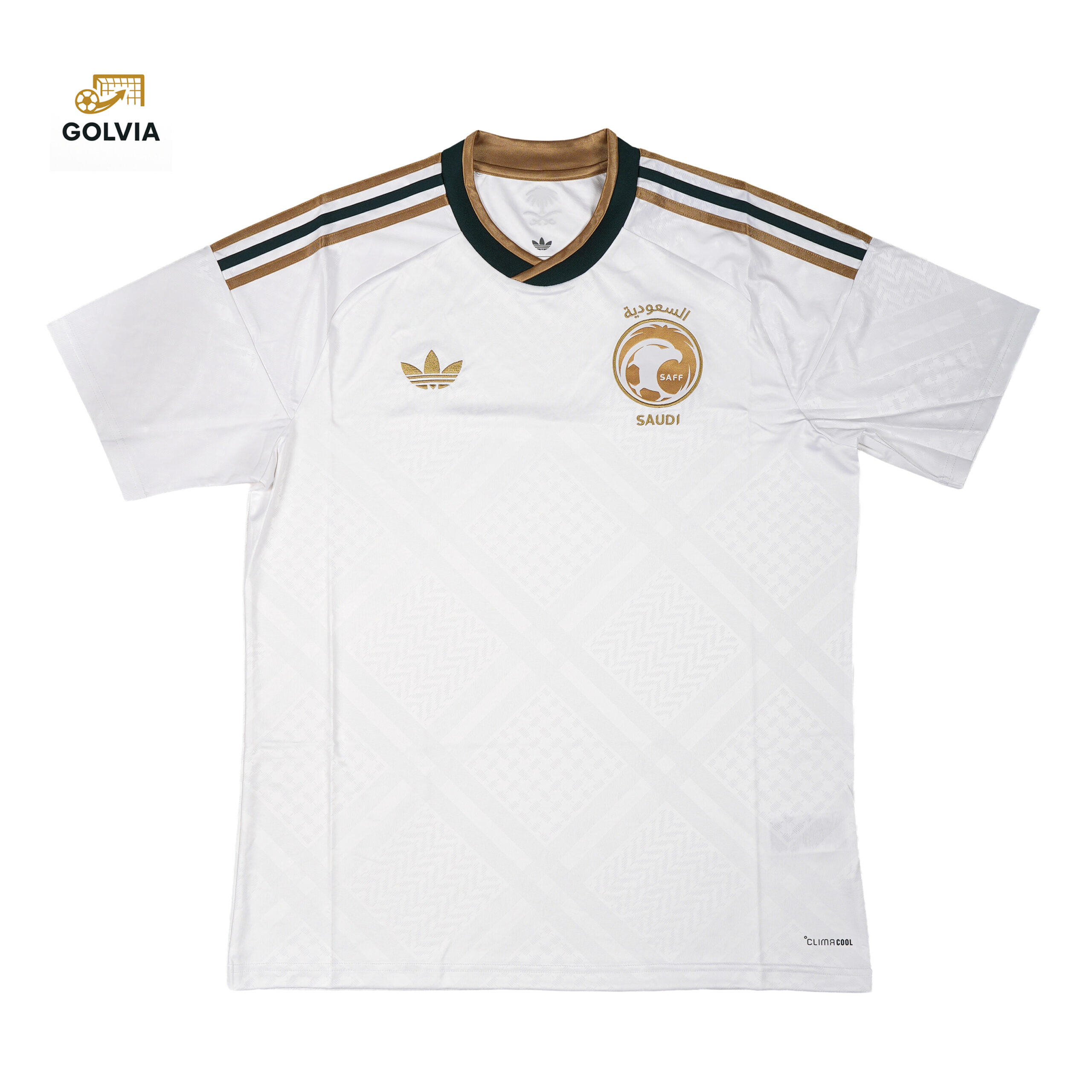DSC03697 السعودية / احتياطي / 2026 - الصورة 1